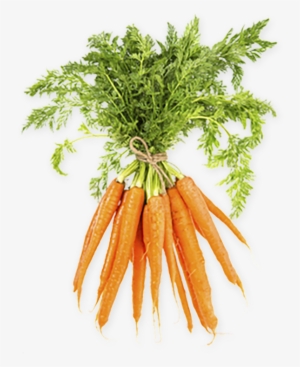 Learn The Essentials First And Worry About The Rest - Bospeen #3141260