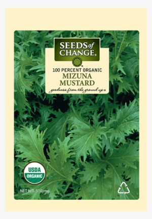 Organic Mizuna Mustard Seeds - Seeds Of Change 21076 Organic Zesty Cln Quinoa Blend #3141311