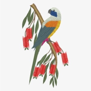 Bluebonnet Parrot #3141590