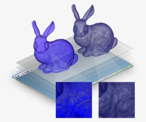 Registration - Domestic Rabbit #3142187