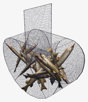 Fish Trap - Chair #3142470