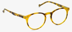 Brain Trust - Golden Tortoise Beetle #3142472