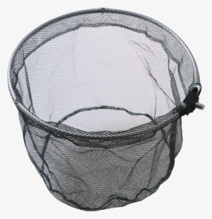 Color Classification, Single Net Head Green Net Fine - Net #3142502