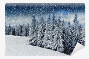 French Memes #3143001