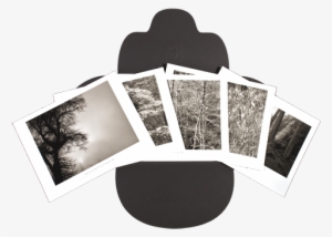 Winter Trees #3143053