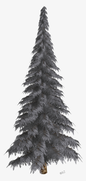 Winter Trees & Christmas Trees - Christmas Tree #3143076