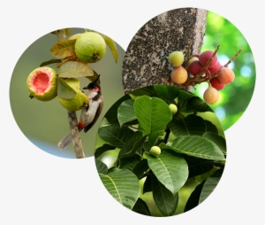 People Across The Country Are Reporting Untimely Events #3143108