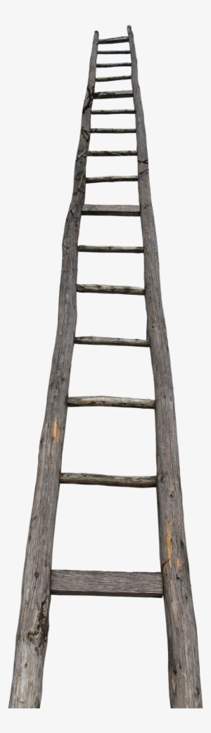 Farming Firm Fined After Ladder Fall - Scala A Pioli Png #3143220