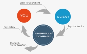 Flowchart Of Umbrella Employment - Does An Umbrella Company Work #3143993