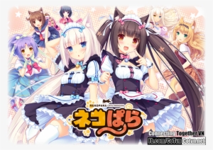 Anime Nekopara Tung Video Quảng Cáo Đầu Tiên - Cat Girl Chocola & Vanilla #3144445