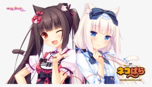 [png Avatar] Sayori - Chocola And Vanilla Nekopara #3144533