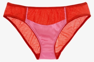 Liselott Panty Zinnia - Lingerie #3145119