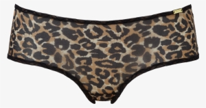 Glossies Leopard Short - Gossard Glossies - Culotte - Stampato #3145294