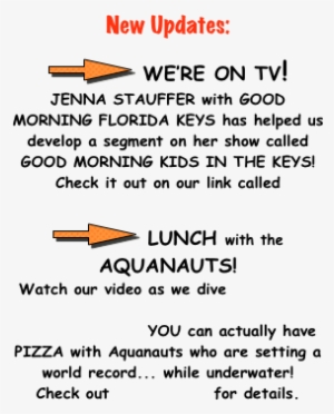 Jenna Stauffer With Good Morning Florida Shapeimage - Florida Keys #3145295