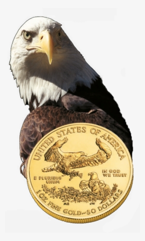 History Of American Gold Eagle - Guardhouse 1 Oz American Gold Eagle Coin Tubes 50 Pack #3146044