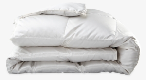 Edelweiss Silk Comforter - Duvet #3146749