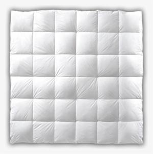 Pacific Coast® Down - Mattress Pad #3146767