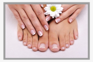 B&g Organics Ecolosophy Lemon Butter Cuticle Cream #3147406