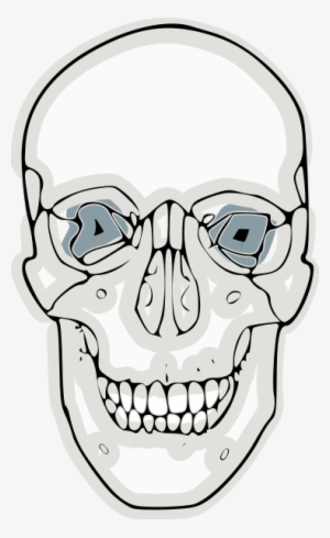 Digitalized Human Skull Clipart Png - Skull #3147498