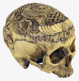 Skull #3147526