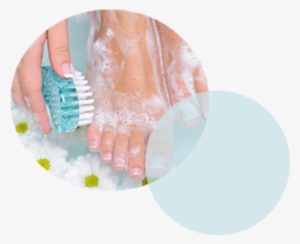 Clean Feet And Hands #3147656