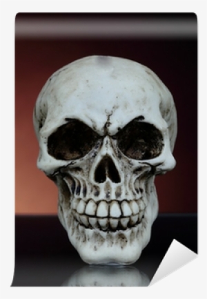 Stock Photography #3147658