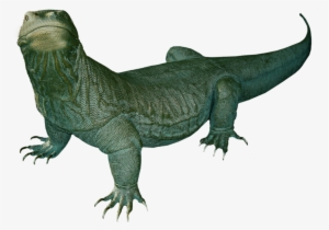 Komodo Dragon Png Clipart - Komodo Dragon Clip Art #3147758