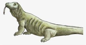 Komodo Dragon Png File - Komodo Painting #3147804
