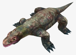 Download Zip Archive - Marine Iguana #3147892