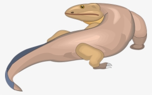 Картинки По Запросу Komodo Dragon Наброски - Vector Graphics #3148137