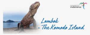 The Lombok Island Features Stunning Beaches And Bays - Komodo Dragon #3148184