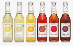 Levico Bibibio Organic Soft Drinks - Levico Bibite Bio #3148302