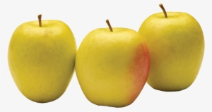 Free Stock Lemonade Hello - Granny Smith #3149009