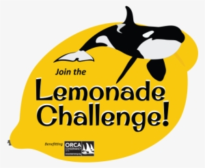 Orca Conservancy #3149063