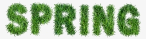 Turf Png #3149256
