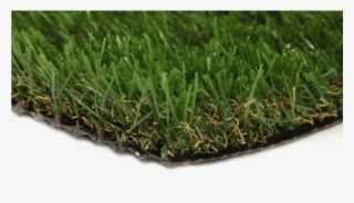 Artificial Turf Png Picture - Jade 50 Artificial Grass Synthetic Lawn Turf #3149272