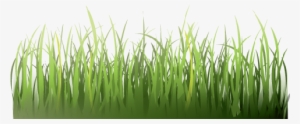 Grass - Orientando, Diario Di Viaggio Un Po' Psicotico E Un #3149333