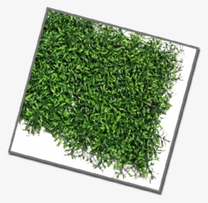 Artificial Vertical Grass Mat - Mat #3149618