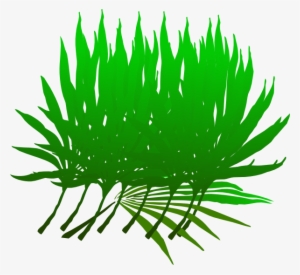 Palm Frond Clip Art #3150164
