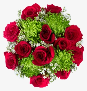 Candy Apple - Floribunda #3150797