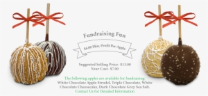 Gourmet Apple Fundraiser - Caramel Apple Fundraiser #3150960