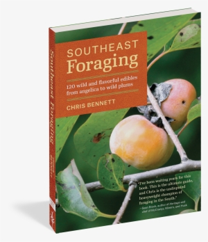 Cover - Southeast Foraging: 120 Wild And Flavorful Edibles #3151891