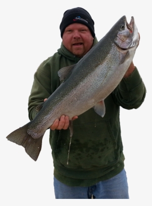 Bigfish - Fishing #3153432