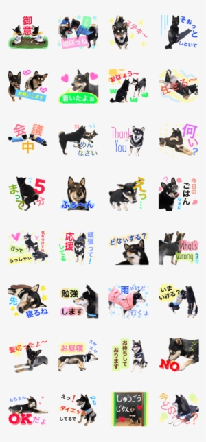 Shibainu Kenshiro And Reo - Sticker #3153630