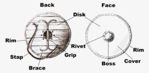 Shield - Middle Ages #3153699