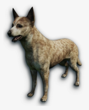 Far Cry 4 Dingo #3154185