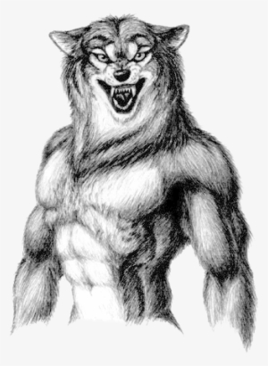 Wolfman - Werewolf Drawings #3154248