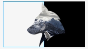 Why Wolfman & Co - Wolf Notebook: Glossy Cover #3154356 Why Wolfman & Co - Wolf Notebook: Glossy Cover #3154356