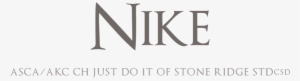 Just Do It Of Stone Ridge Stdcsd "nike" - Calligraphy #3154454