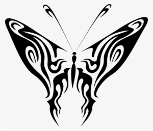 Butterfly 7 Greeting Cards (pk Of 10) #3155103